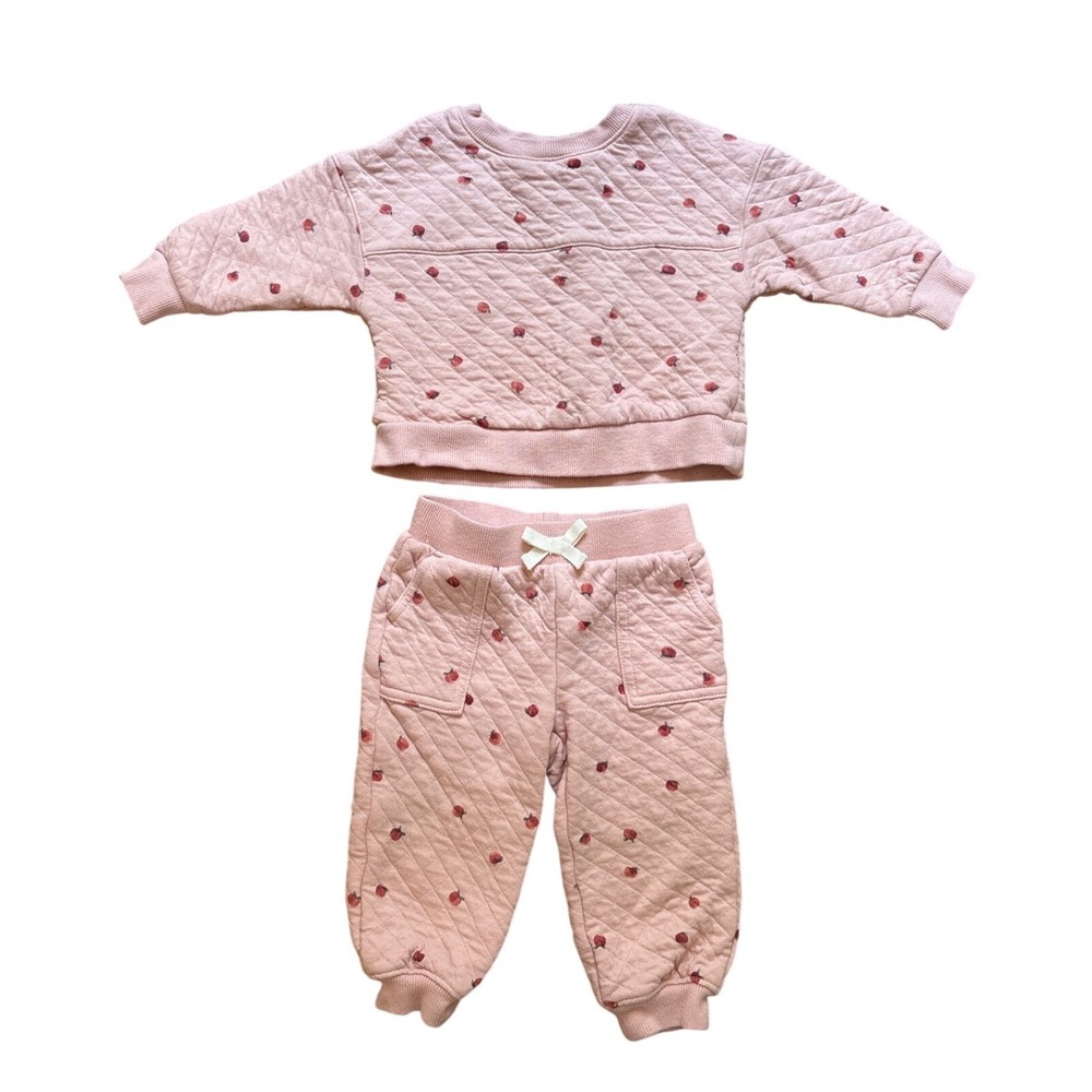 Carter's Quilted Sweatshirt Jogger Set Kids Pink Excellent Apple Print SIZE 12M
